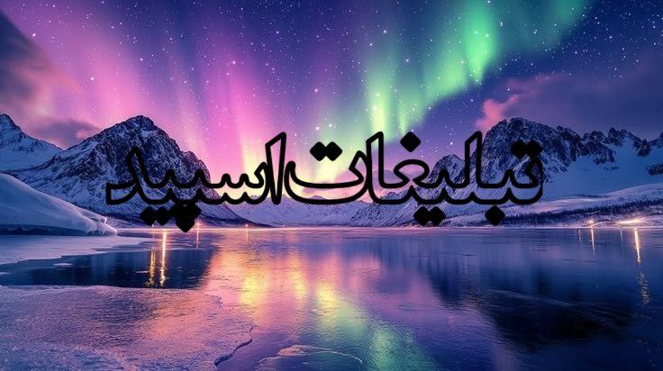 وایلد ولف🐺 (4)