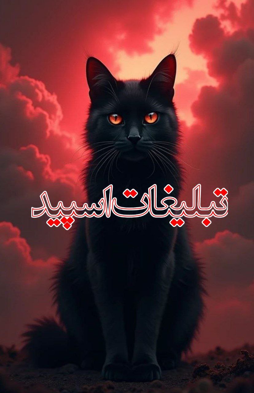 ♡پـ‌ـؒـ‌‌اؒؔتـ‌‌ـؒـ‌‌وۘۘقـؒؔـ‌‌ آرشـ‌ـؒـ‌‌ـ وۘۘ رفـ‌ـؒقـ‌ـ‌‌اؒؔ♡