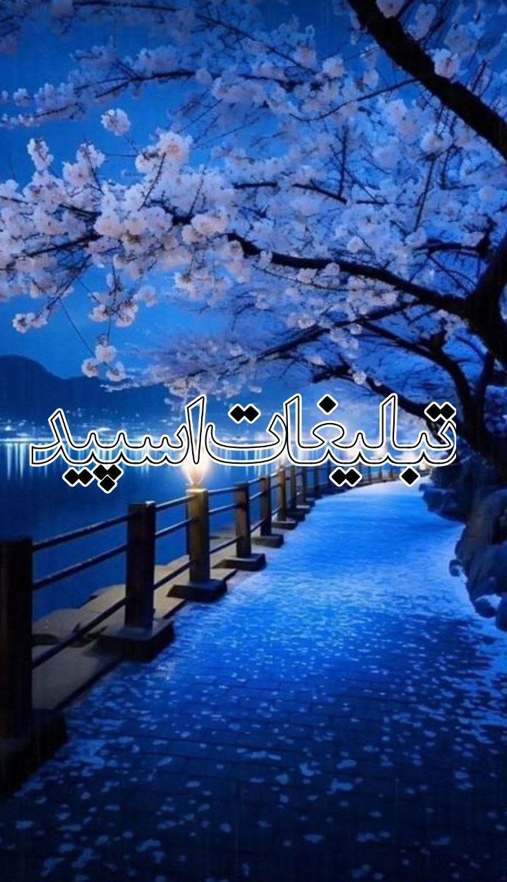 دورهمی لاکچری 💜