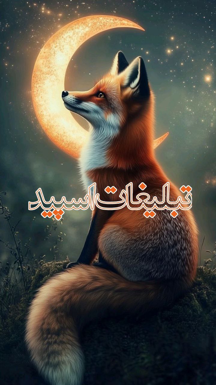 𝑬𝒌𝒊𝒑 𝑺𝒉𝒂𝒉𝒓𝒊𝒚𝒂𝒓 (7)