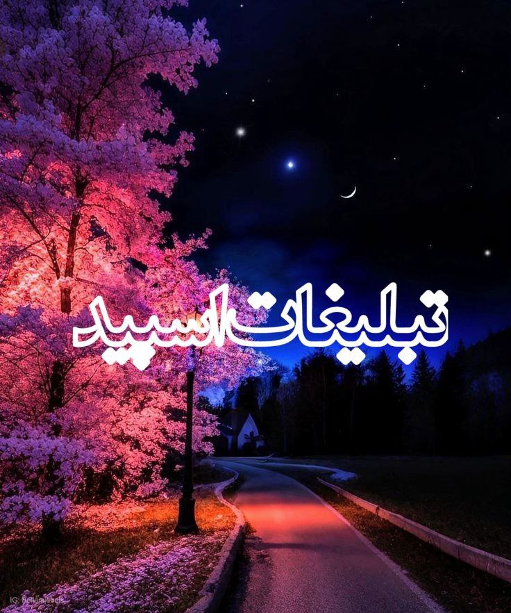 🫀✨ Shabha ye shomal✨