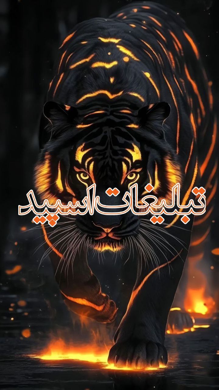 『ᭂܩࡅ࡙ߺࡅߺ߳ـٖٜ𝐎𝐑𝐆𝐈𝐍𝐀𝐋ـٖٜࡅ࡙ࡅ࣪ࡏަߺࡉ≛❥ 』