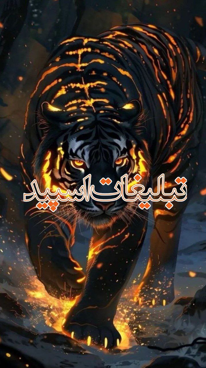 دوستان با معرفت (15)