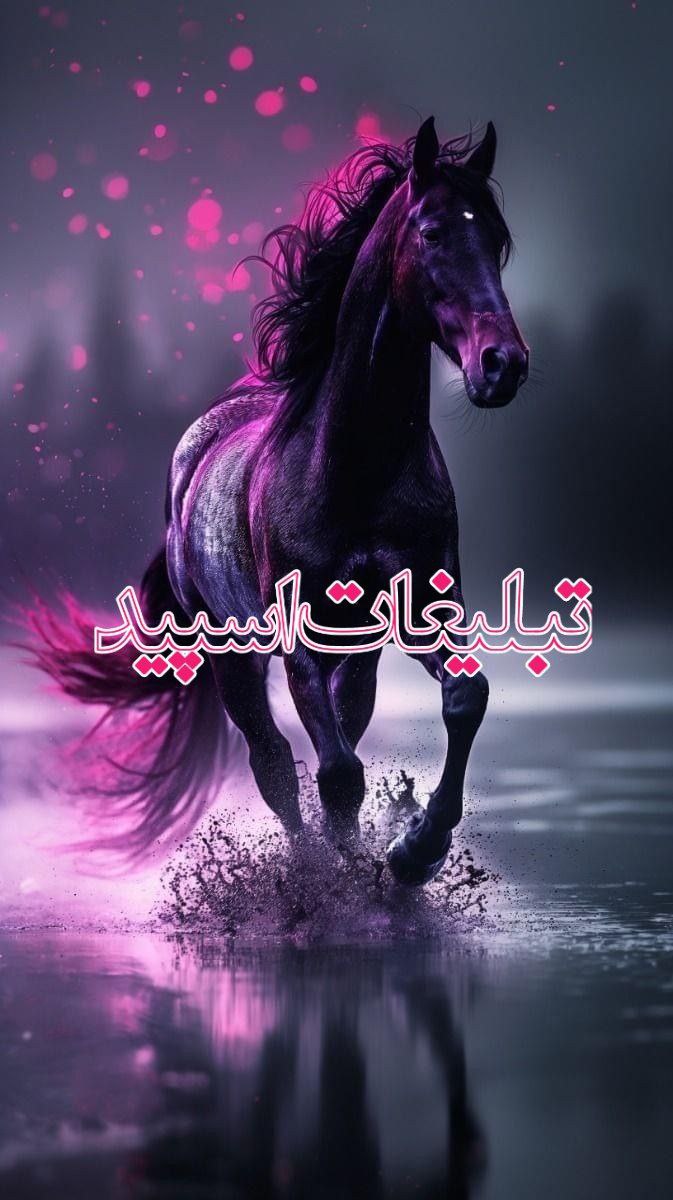 Banafsh land (3)