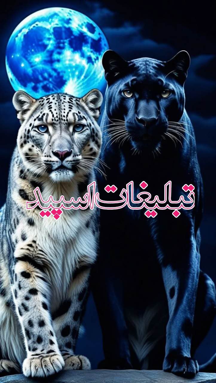 ❭❯❥꯭࿆  𝐅𝐞𝐦𝐛𝐨𝐲 𝐏𝐚𝐫𝐚𝐝𝐢𝐬𝐞 🩵:‌‌⃟꯭ঔৃঃ꯭క్ష