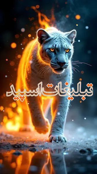 ✨شب های لاکچری شیراز✨