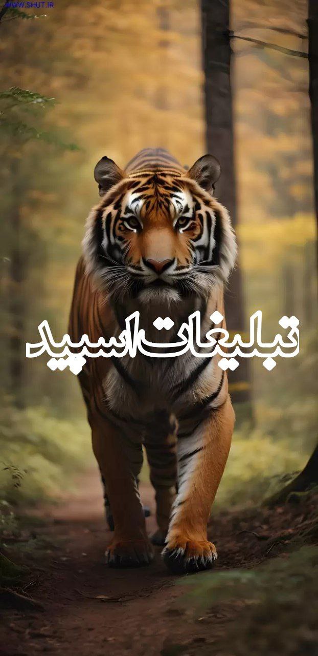 محفل دوستان (3)