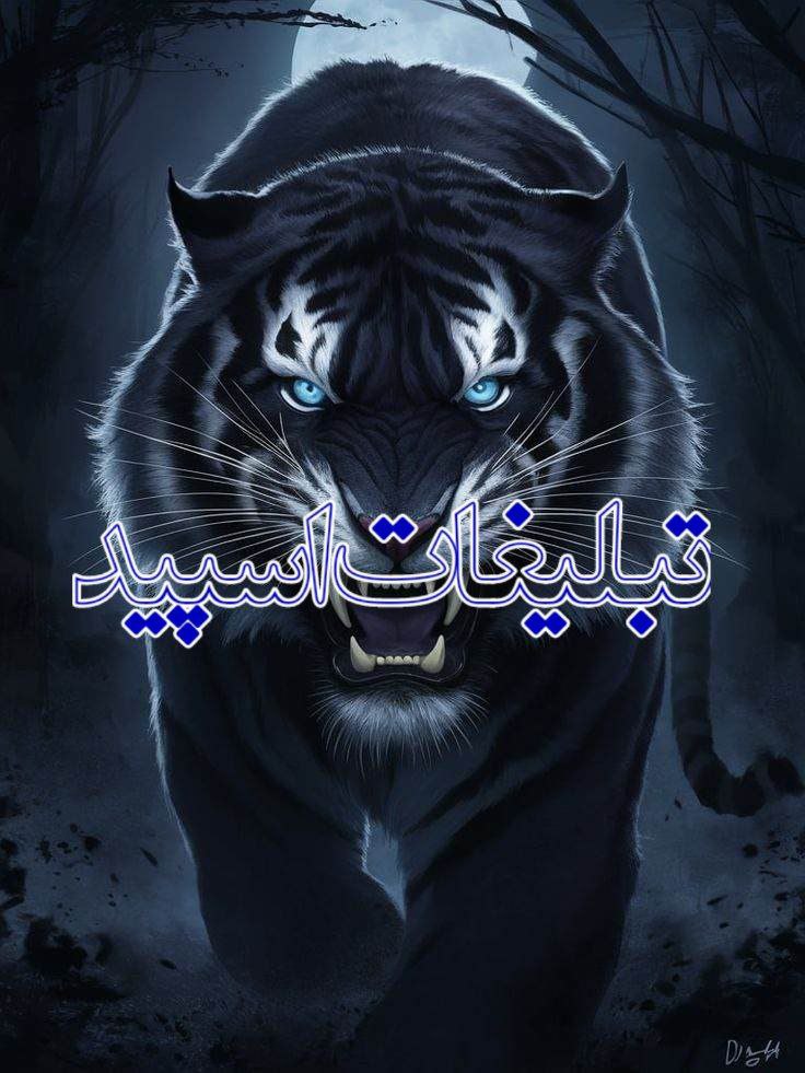 💃- دَِلَِنَِوَِاَِزَِاَِنَِ💃 (3)
