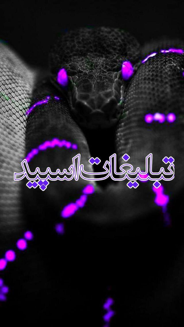 محفل بهار (2)