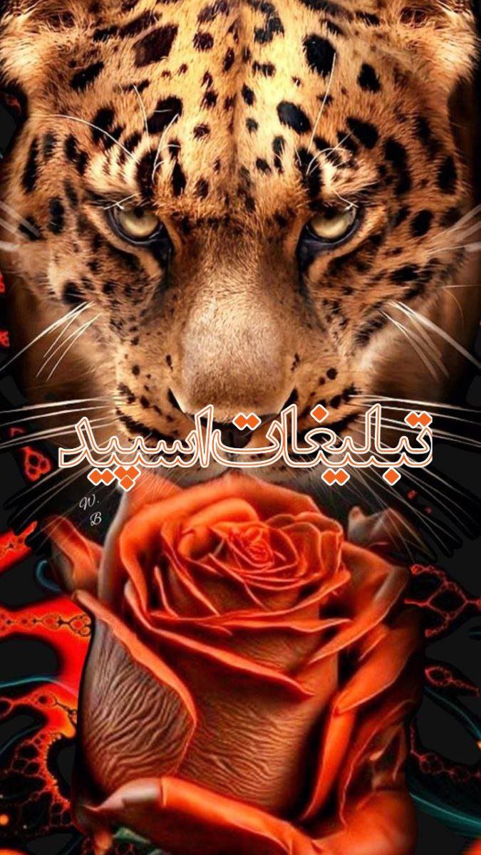 🌹دورهمی دوستان 🌹