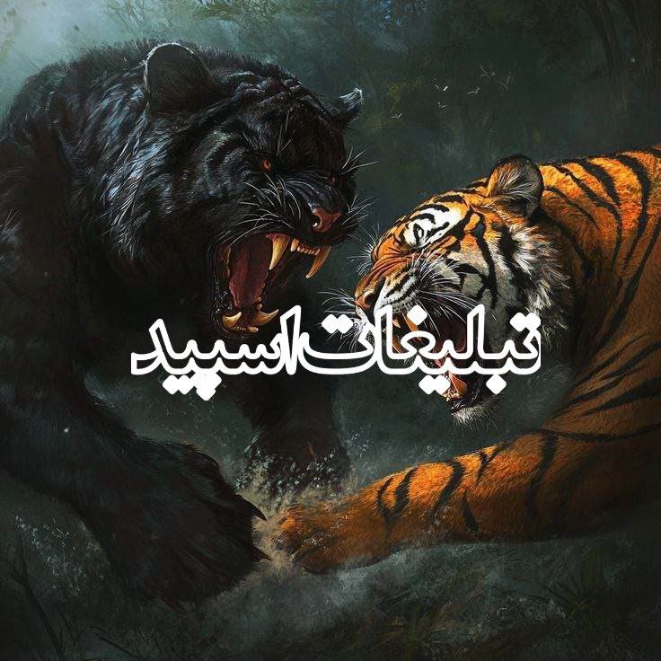 ربات چالش و بازی💥