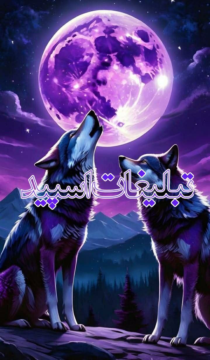 زیر چتر عشق (3)