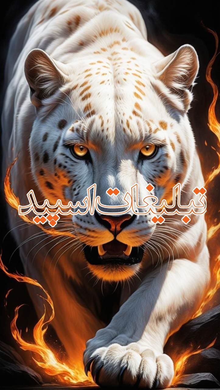 💙چتکده با جنبه ها💙