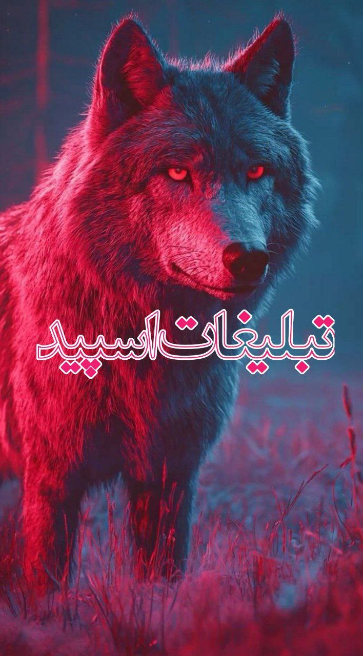 🫀چتکده ی رفقا 👫