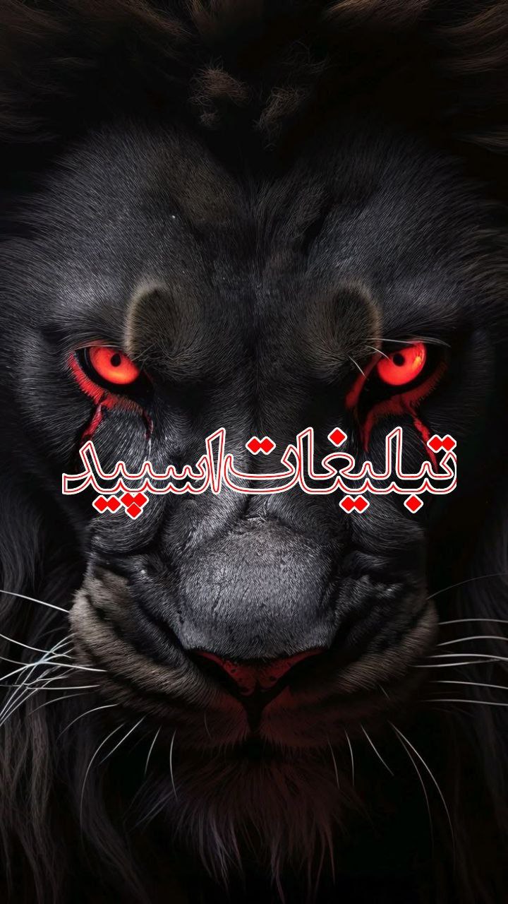 🇮🇷👑 پاتوق خوبان 👑🇩🇪 (10)