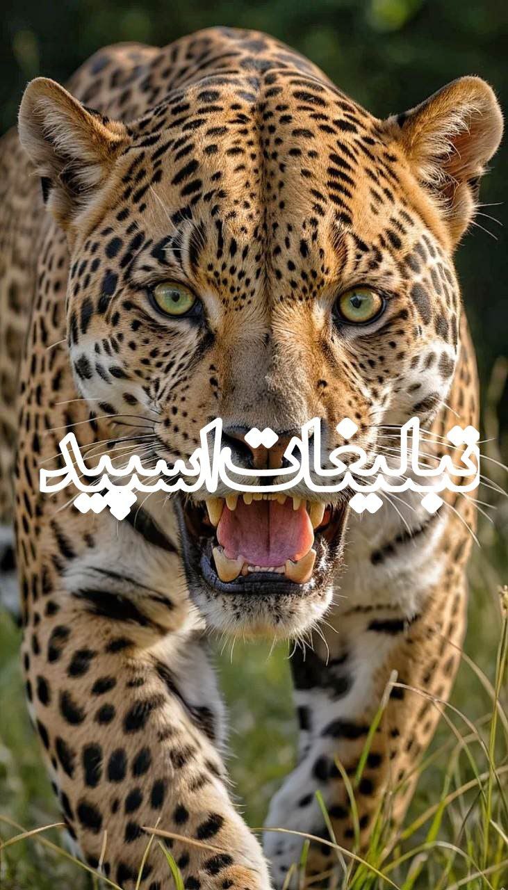 💞💞دورهمی دوستان صمیمی 💞💞