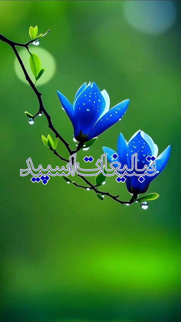 ❤️𝑮𝒉𝒂𝒍𝒃𝒆𝒕𝒂𝒑𝒂𝒏𝒅𝒆❤️ (1)