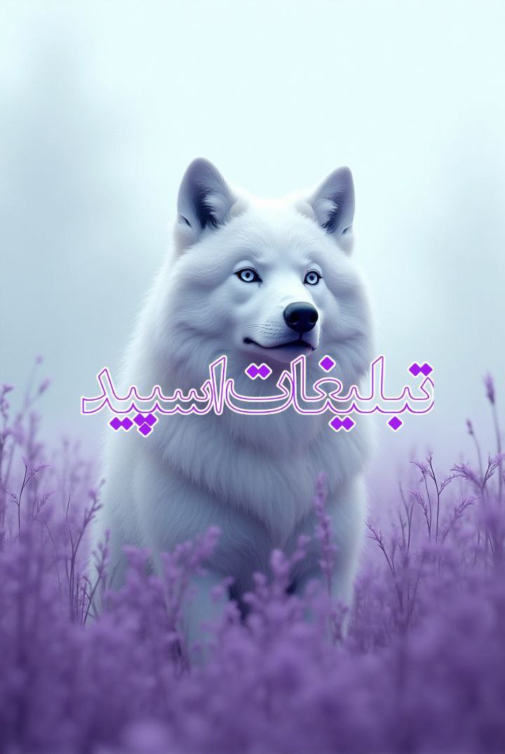 🌺گروه دوستان بامرام🌺