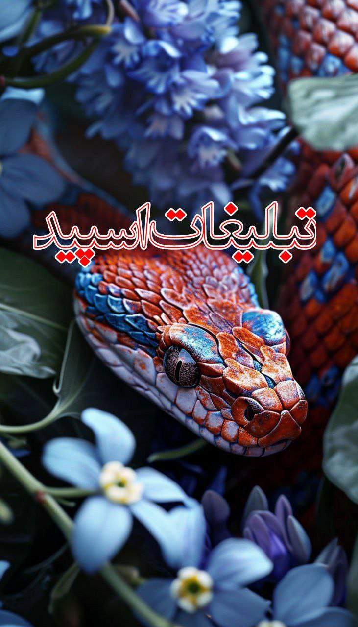 چرچیل (3)