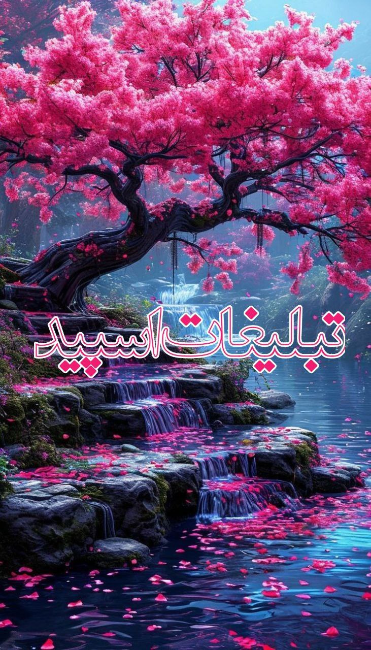 🍁𝙑𝙞𝙗𝙚 𝙕𝙤𝙣𝙚🍁 (1)