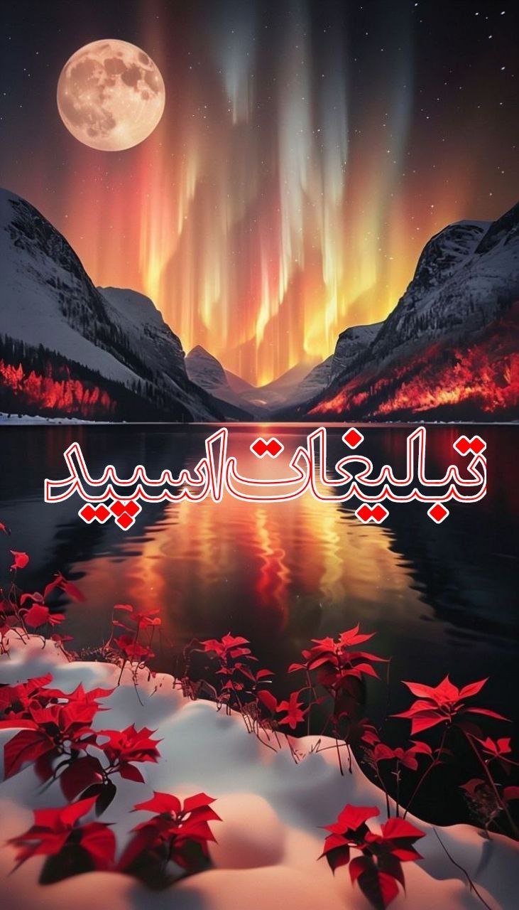ولف سیتی😈 (4)