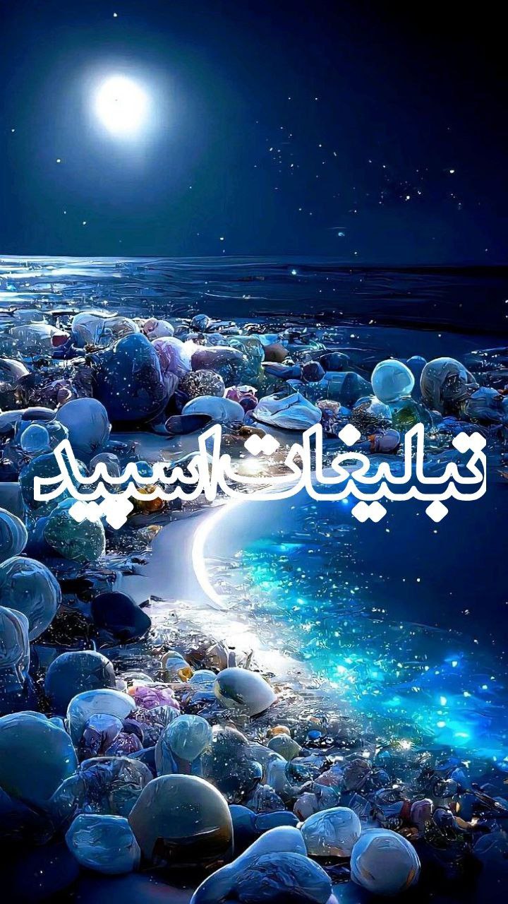 وایلد ولف (378)