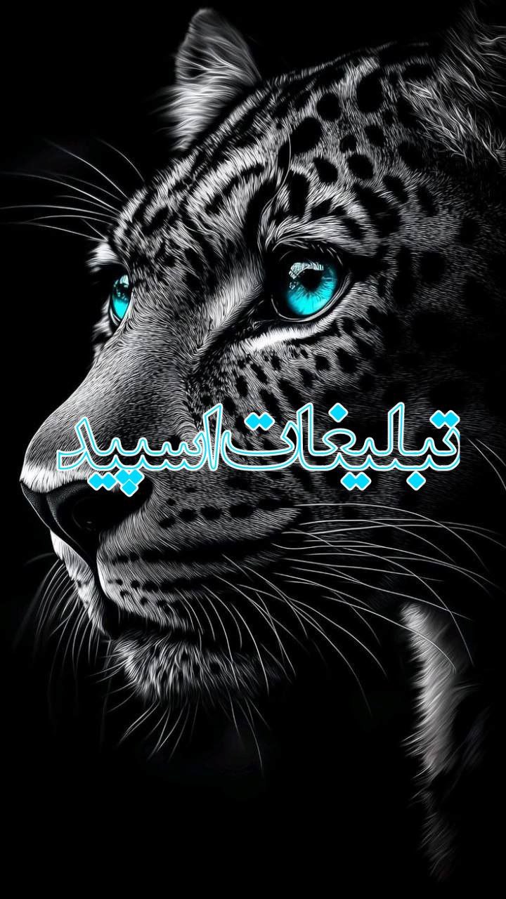🫀✨Gp. Shabha ye shomal✨🫀 (10)