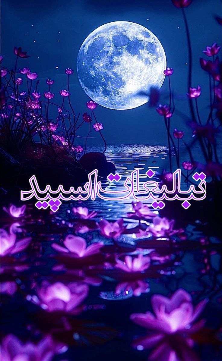 💕 ڪَِــلَِبَِهَِ عुؔـشـٖٖقـٍٍ℘‌ـٜٜ 💕