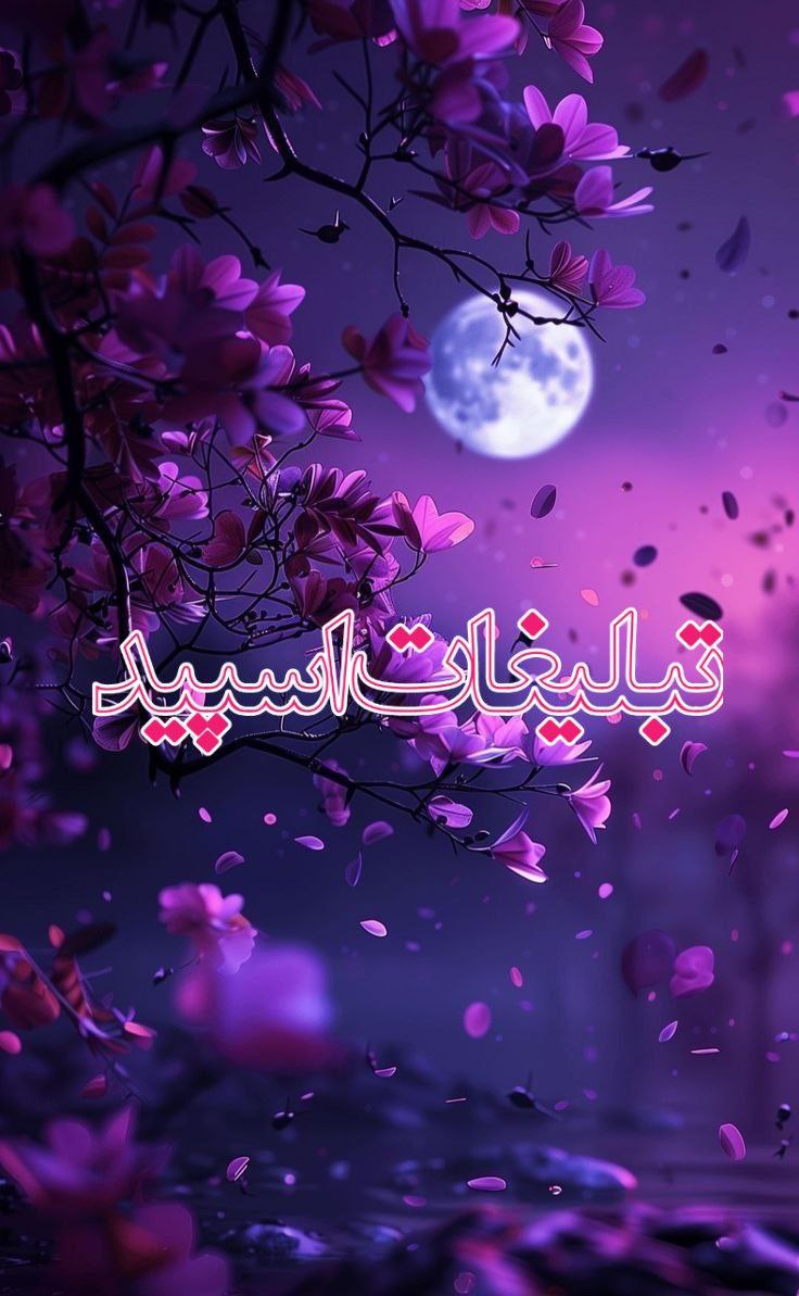 دنیای مجازی 🌹