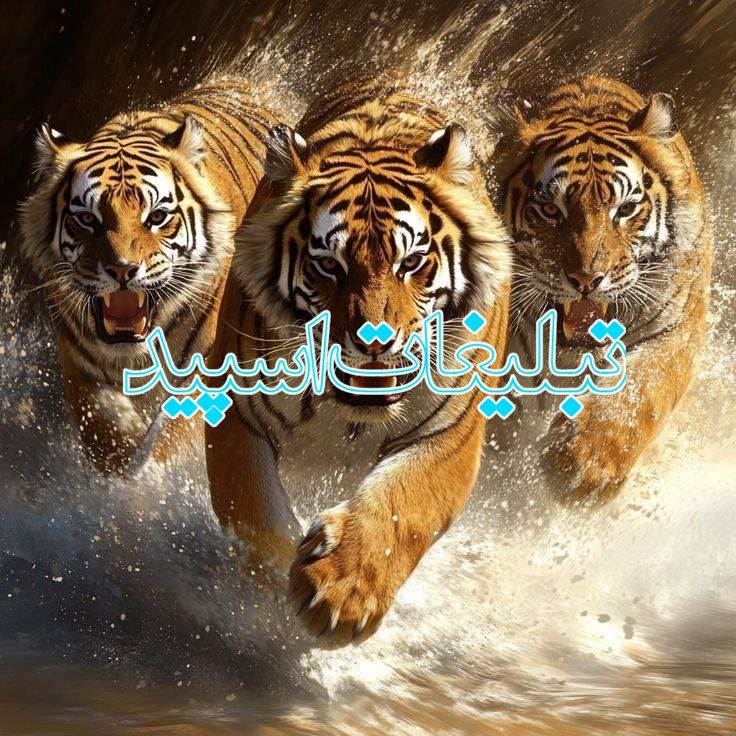 بدون مرز 🄱🄴🅈🄾🄽🄳