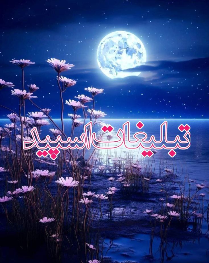 ◄থৣ کلبـہ בوستانه💖থৣ►