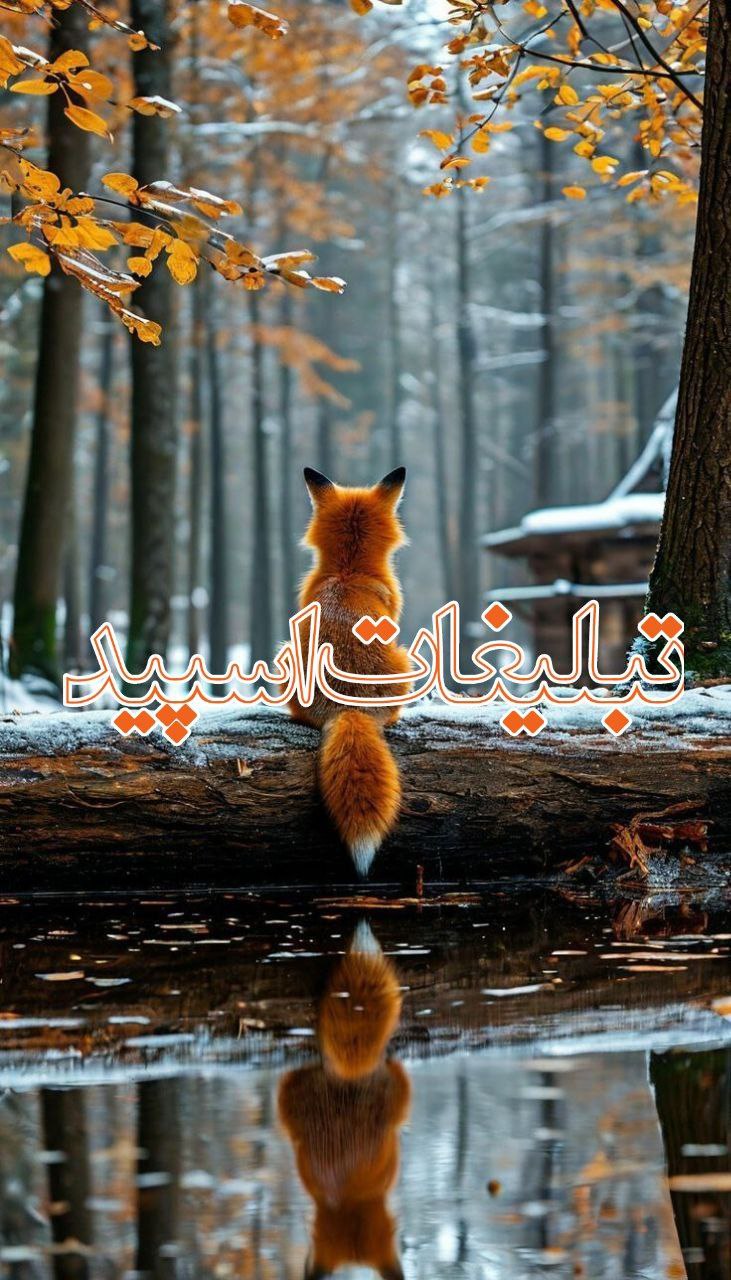 گپ اهواز تهران
