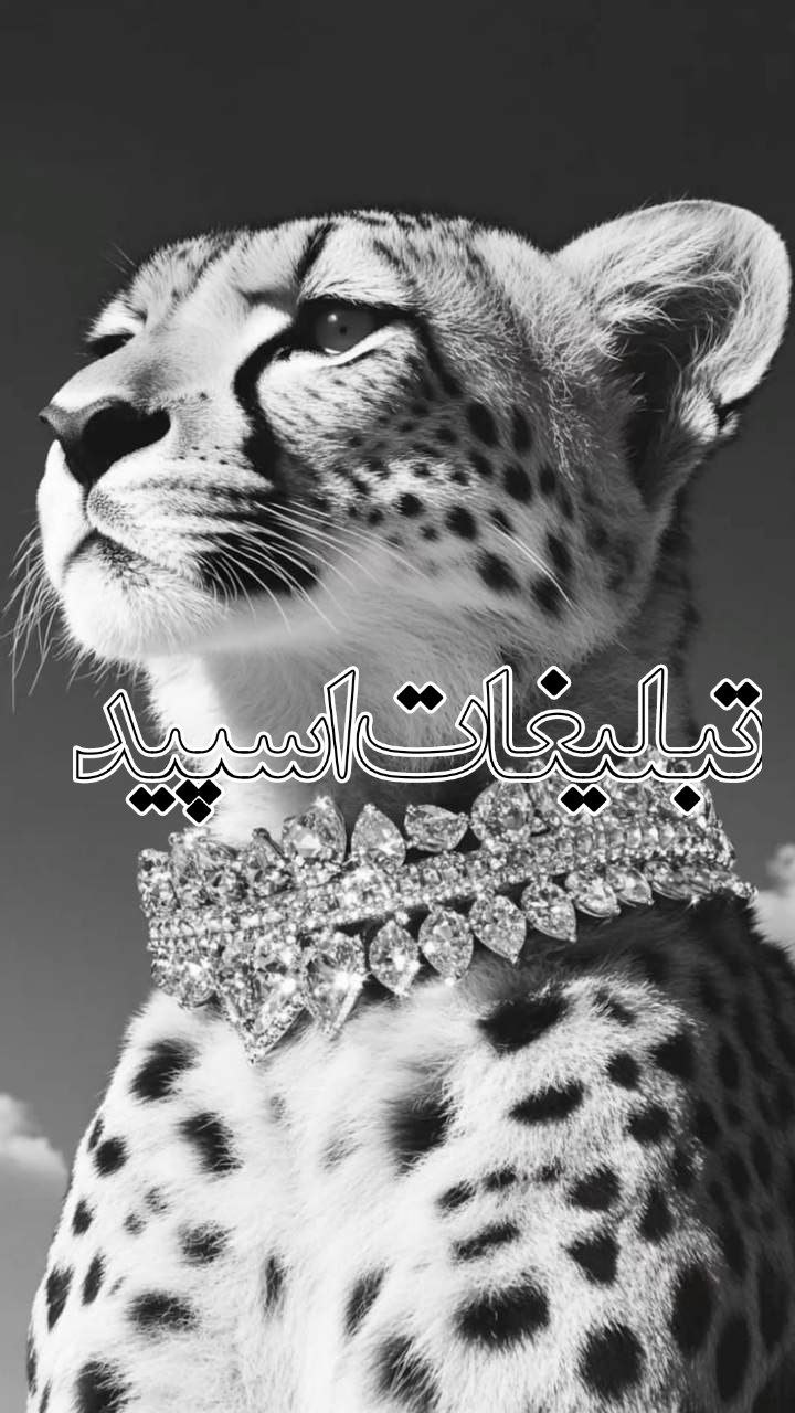 🌌💥شب های پر ستاره💥🌌