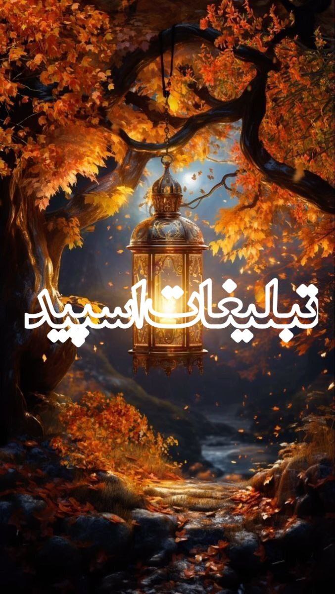 وایلد ولف (372)