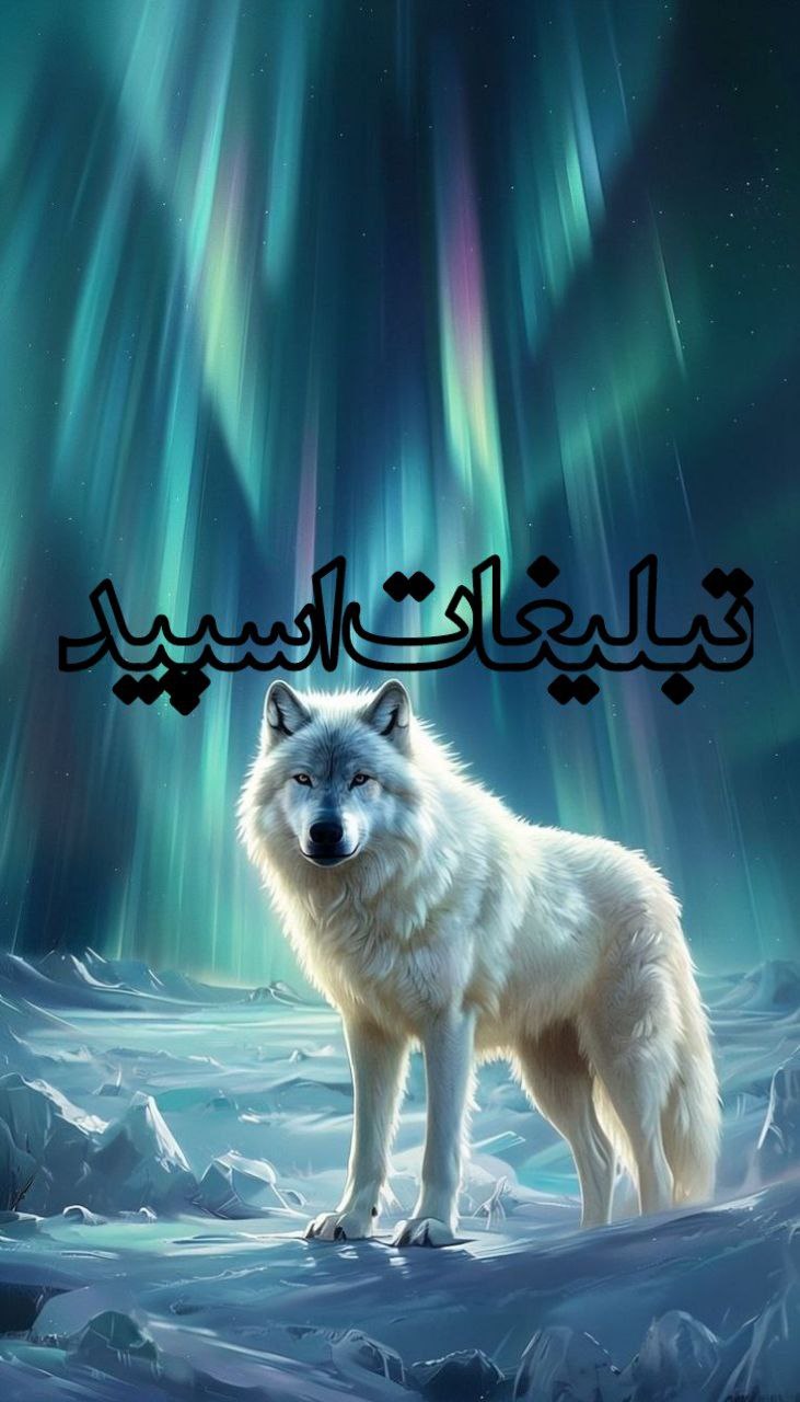 🎯 دورهمی VIP