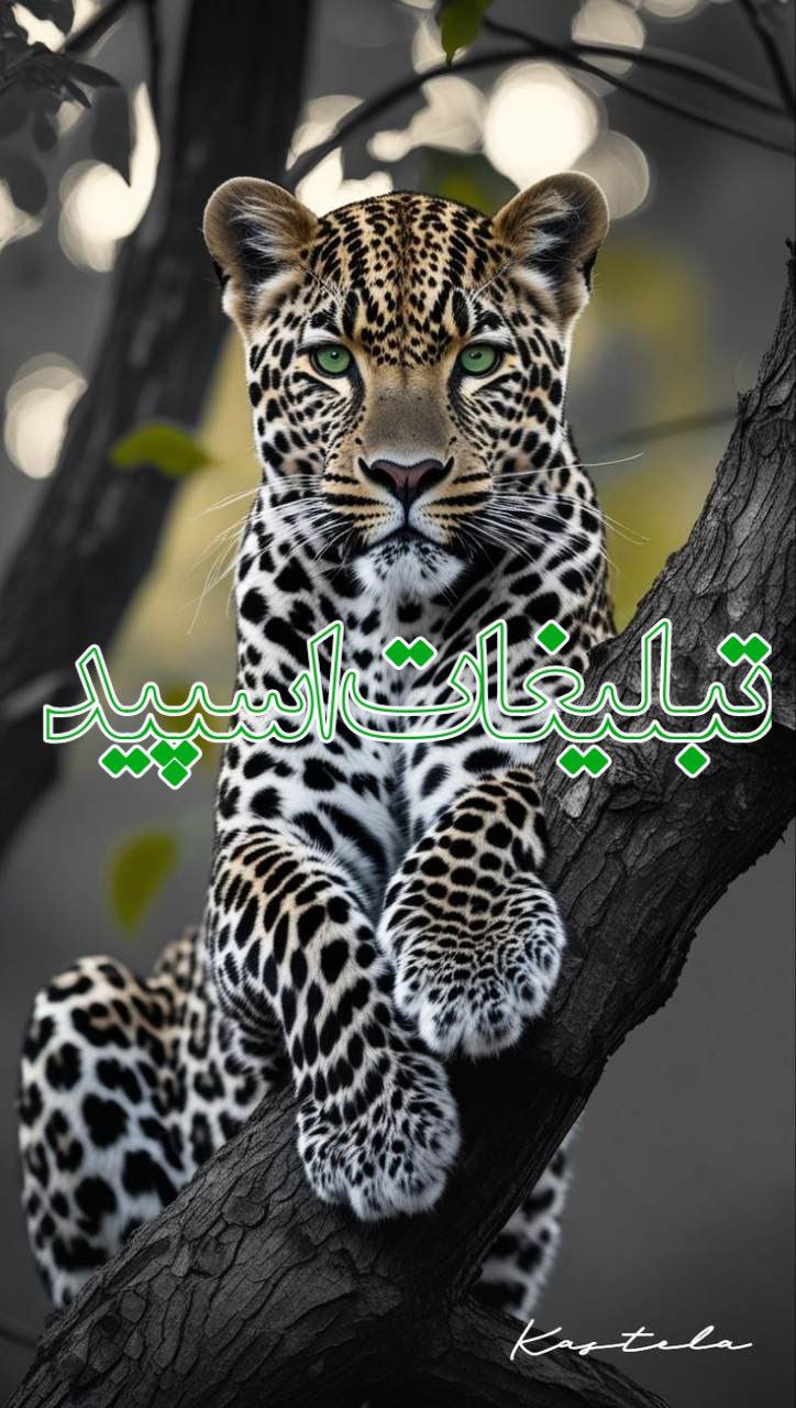 ᝰ 𝐁𝐋𝐀𝐂𝐊 𝐆𝐇𝐀𝐓 ᝰ