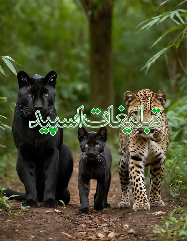 عشق و حال ابدی