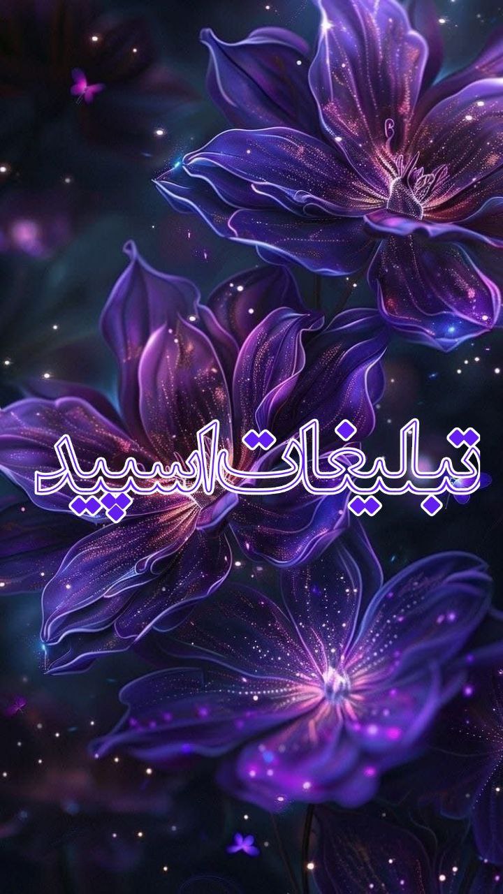 𝑳𝑰𝑽𝑬 𝑵𝑨𝑩 (4)