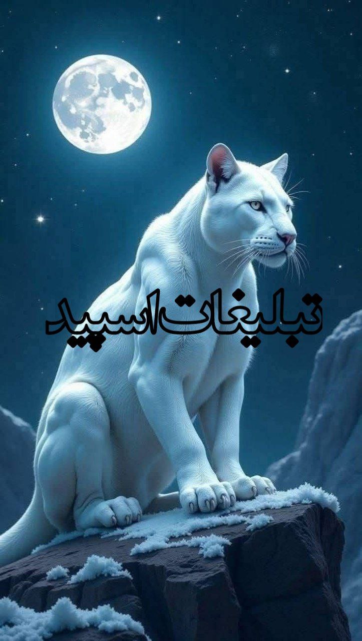 ♥⊱╮ღ꧁ کوی مهربانی تهران_کرج ꧂ღ╭⊱♥ (1)