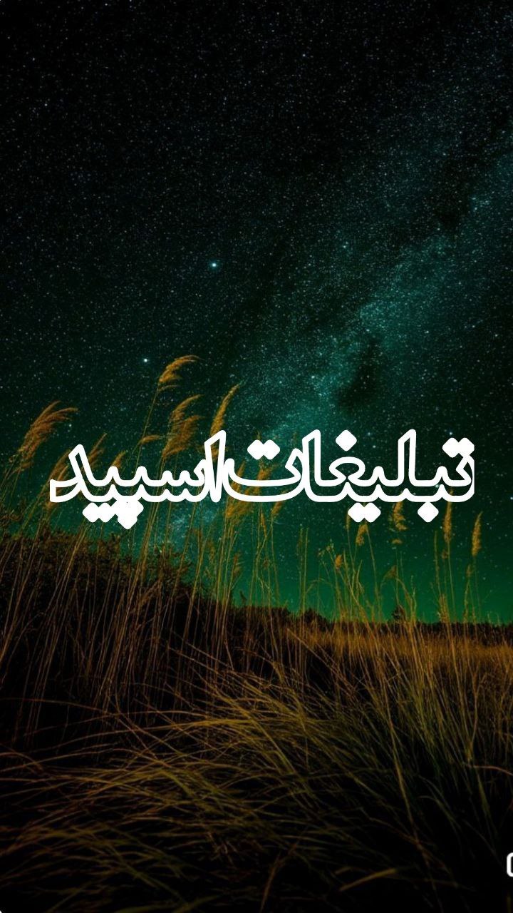 𝑳𝑰𝑽𝑬 𝑵𝑨𝑩 (18)