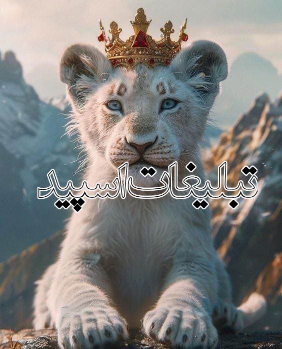 کــلـبه آرامـــشـ😍❤️