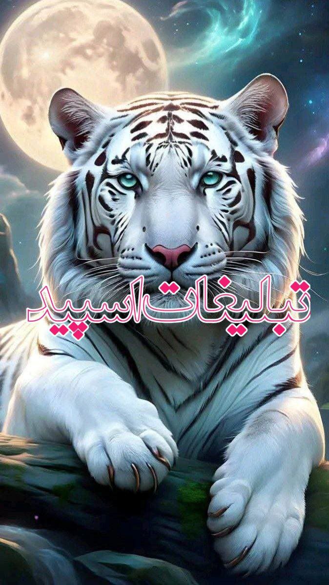 ❤❤😍محفل دوستان😍❤❤
