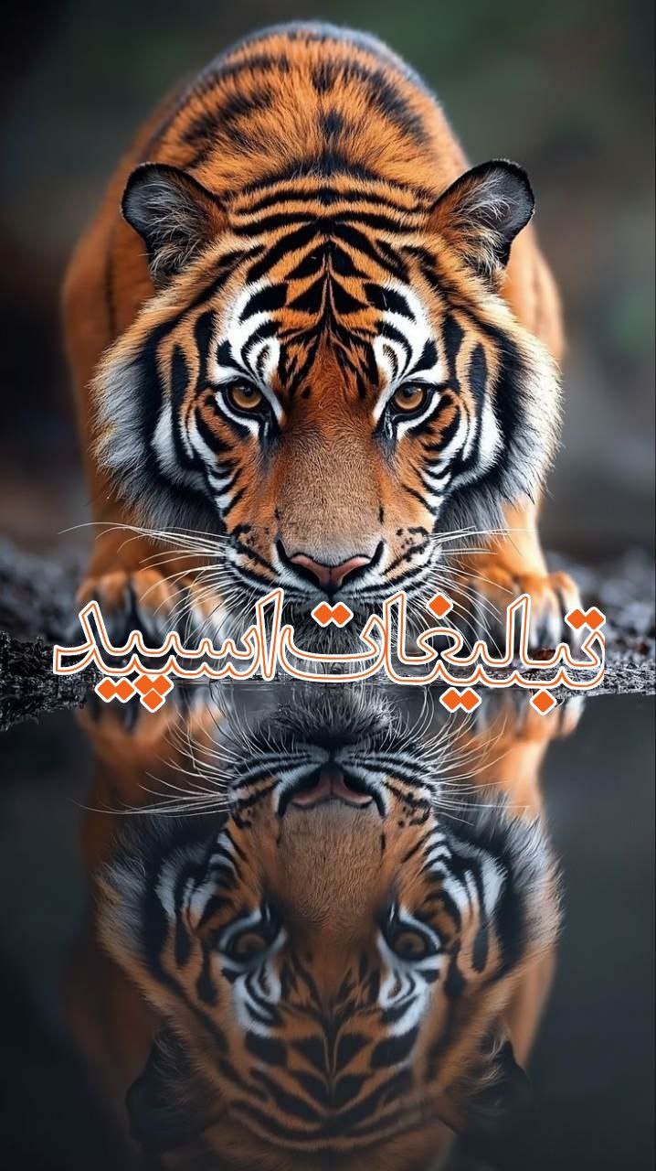 🌹تلخ♥️شیرین🌹 (1)