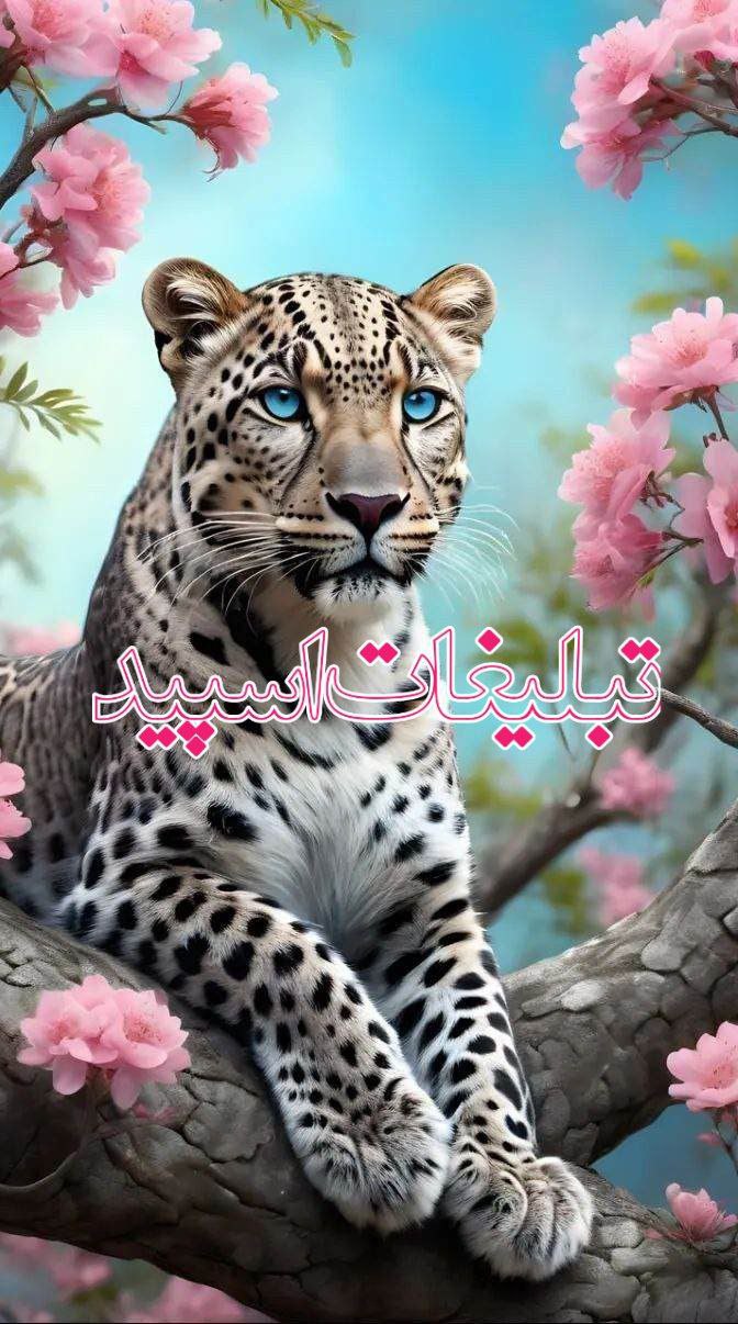 عاشقان خاص (1)