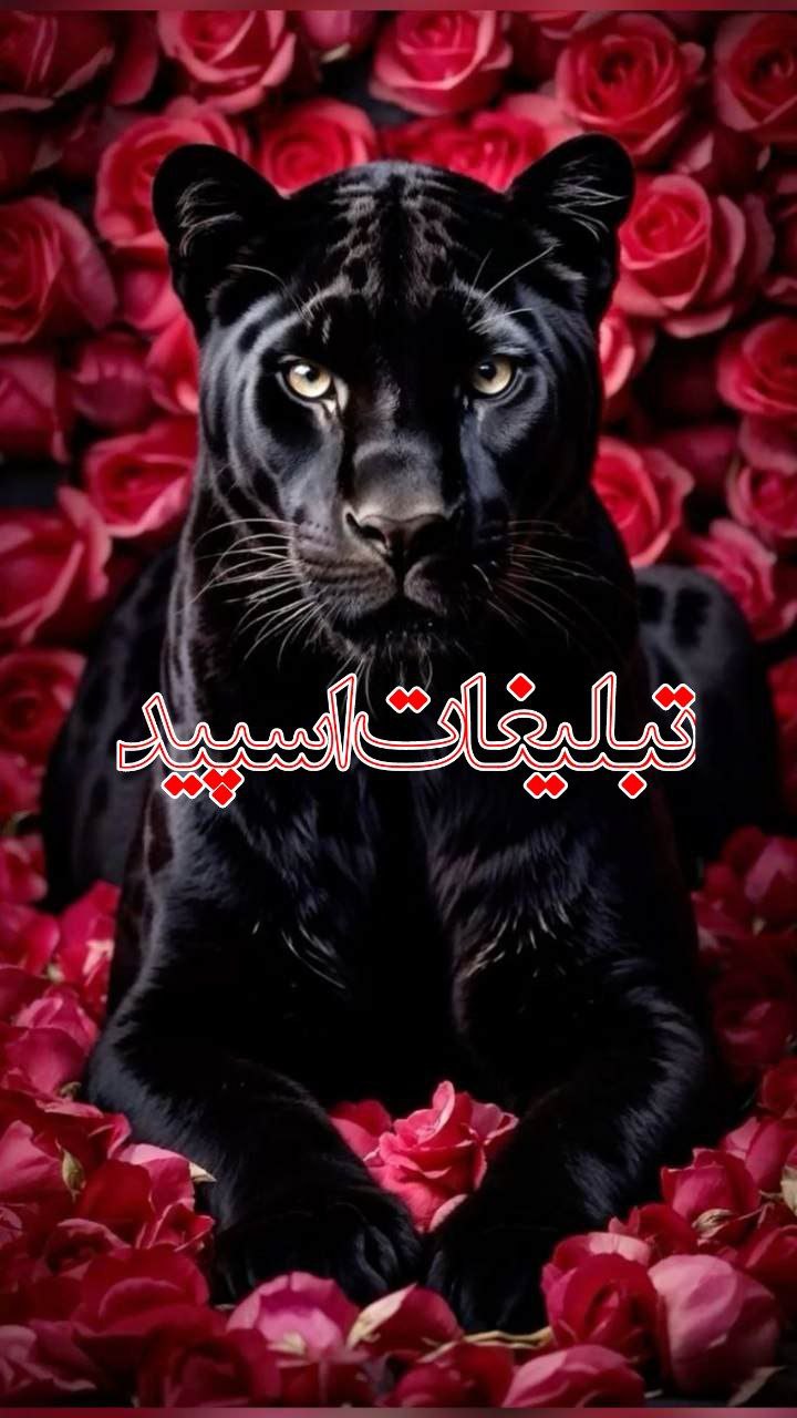 دوستان ماندگار 💞 (3)