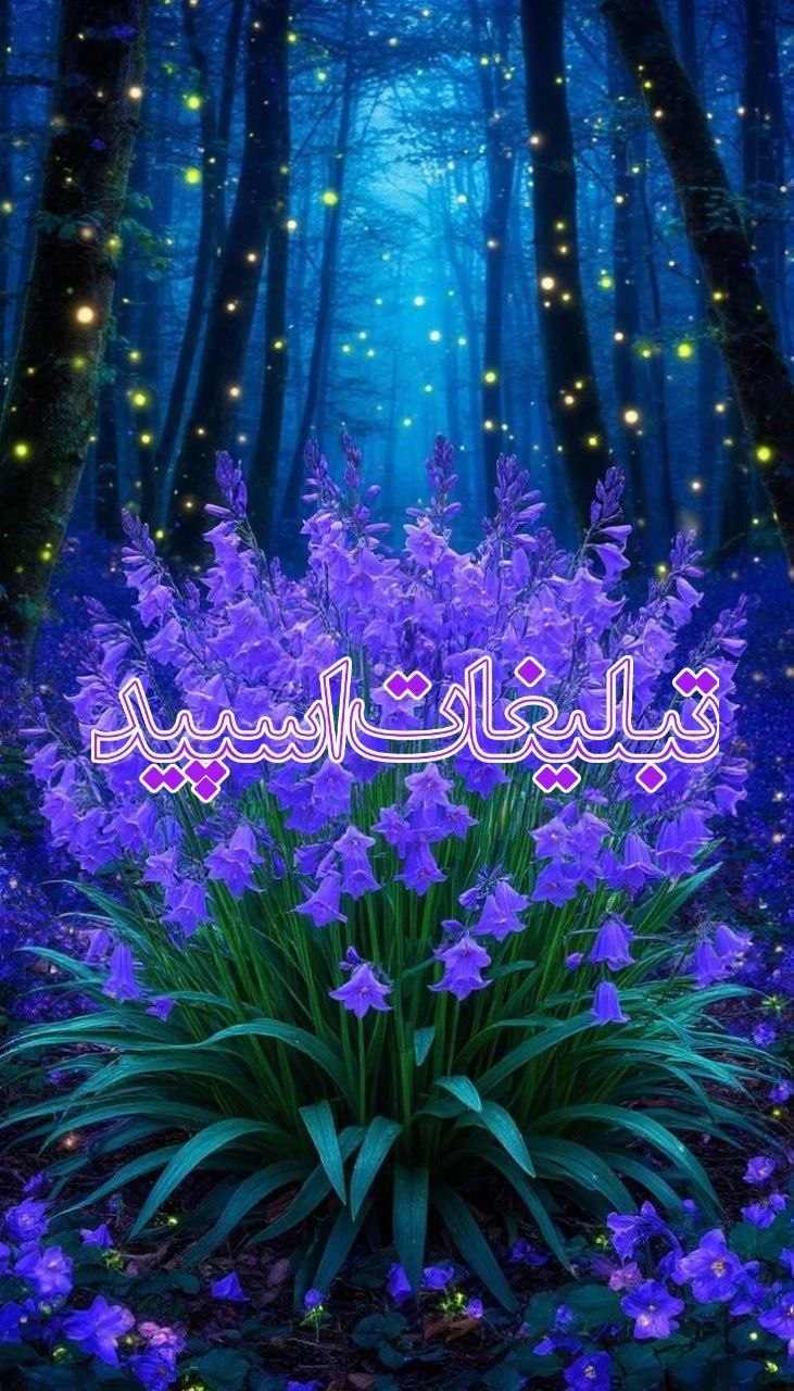 ༺👑🔮✨لحـــظه هــای نـــاب✨🔮👑༻