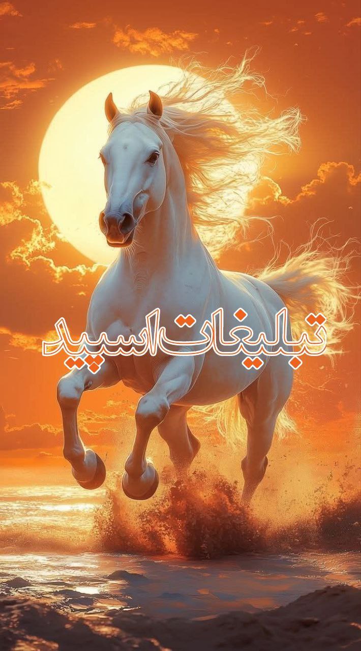 پاتوق همنشین (4)