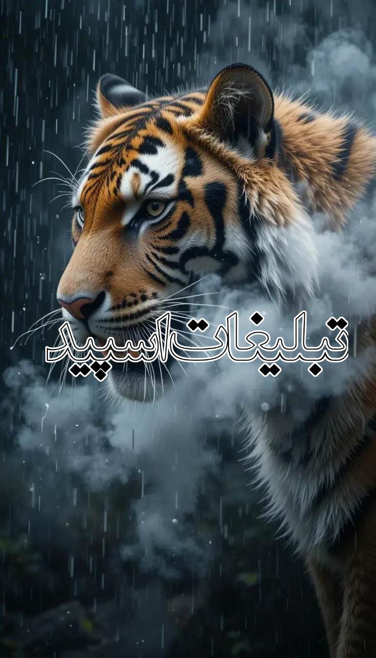 💍 آسِـمانِــ مَـجازے 🩵