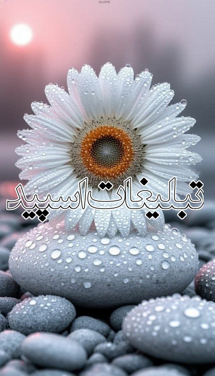 ❤️❤️محفل دوستان ❤️❤️
