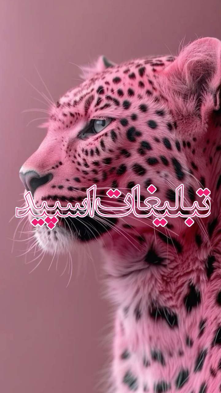 پاتوق دوستان (4)